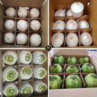 Hoge kwaliteit Vietnamese verse kokosnoot voor voedsel en dranken