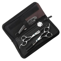 Kit de coupe de cheveux de barbier couleur argent ciseaux amincissants cisailles Kit de rasoir de coiffure en acier inoxydable allemand