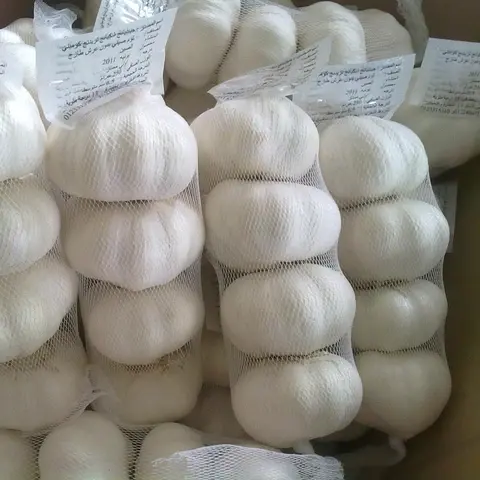 베트남에서 흰색 신선한 마늘 판매/수출 일반 신선한 마늘 카톤 10kgs 메쉬 백에 포장