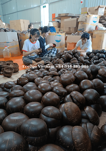 Bol en coquille de noix de coco naturelle artisanale/ensemble bol et cuillère en noix de coco/bol en noix de coco fabriqué au Vietnam - Product Image 5