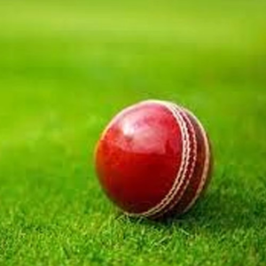 Vente en gros de nouveau design balle dure de cricket sur mesure léger matériau souple cuir haute visibilité pour l'entraînement de match en plein air - Product Image 4