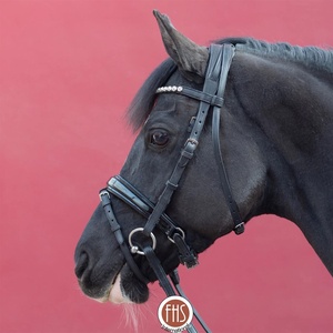 Brida ecuestre de charol de alta calidad Clear Wave Brow-Band Side Grip Noseband para montar a caballo - Product Image 2