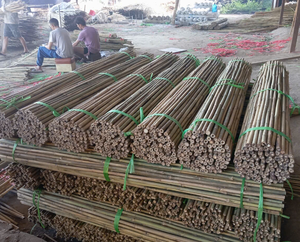 Bâtons de bambou de qualité supérieure, issus de sources durables au Vietnam, pour des applications polyvalentes dans le monde entier - Product Image 4