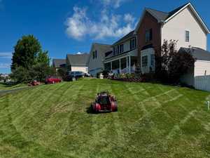 Tondeuse à gazon agricole pour la coupe d'herbe, meilleure vente en gros de tondeuses à gazon à rotation zéro à bas prix - Product Image 5