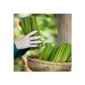 หลอดดูดทำจากไม้ไผ่หลอดหญ้าสีเขียวจากเวียดนามขายส่งได้ตามต้องการ - Product Image 1