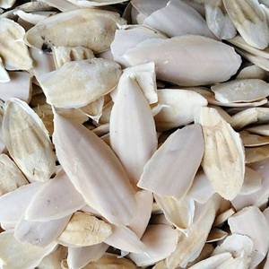 DRIED WASHED <b>CUTTLE</b> <b>FISH</b> <b>BONE</b>, FRESH CUTTLEFISH <b>BONE</b> for SALE - Product Image 1