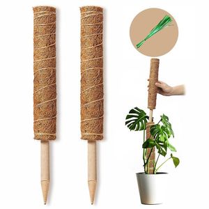 [BEST PRICE] 100% NATURAL COCONUT <b>MOSS</b> POLE for PLANT CLIMBING/ <b>MOSS</b> POLE for PLANT MONSTERA / <b>MOSS</b> POLE by ECO2GO VIETNAM - Product Image 1