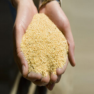 Comida de soja en venta-Comida de soja orgánica 43% 63% proveedor a granel - Product Image 1