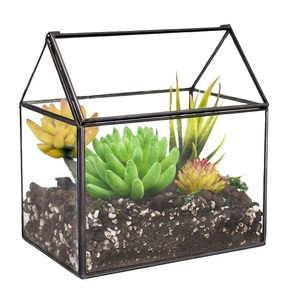 Centros de mesa de cena, decoración del hogar, Terrario de cristal para florero o contenedor de plantas, terrario - Product Image 5