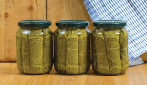 Đặc biệt cung cấp TOP notch chất lượng tốt nhất bán nhà máy ở Việt Nam Lá Nho trong nước muối 850 gam - Product Image 6