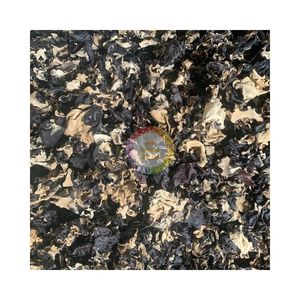 99 GOLD DATA HIGH QUALITY CLOUD EAR WOOD FUNGUS BLACK MUSHROOM FOR WHOLESALE EXPORT BULK QUANTITY OEM PRIVATE LOGO FUNGUS - Product Image 5