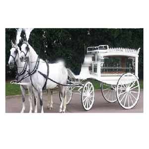Cheval funéraire victorien tiré Buggy/carrosse dernier cheval funéraire blanc chariot tiré Royal blanc chariot funéraire/char - Product Image 1