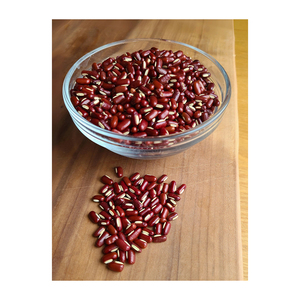Mejor Precio en Frijoles Adzuki Disponibles para Suministro al por Mayor y Entrega Rápida - Product Image 2
