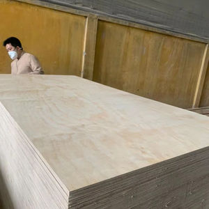 Contreplaqué commercial en bois de pin 1250x2500mm 15mm imperméable 9 plis Panneau extérieur colle E0 moderne - Product Image 1