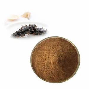 ราคาถูก ผงแตงกวาทะเลคุณภาพสูงขายดีจากเวียดนาม - Product Image 6