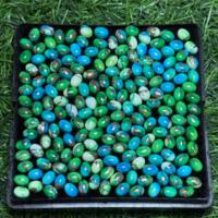 AAA + haute qualité taille personnalisée paon naturel cuivre Kingman Turquoise Cabochon pierre précieuse verte en vrac pour bijoux à bricoler soi-même accessoires