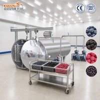 Machine de lyophilisation sous vide pour fruits, hygiénique, en acier inoxydable 304, pour myrtilles, mûres et framboises