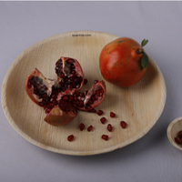 Assiettes jetables en fibre de Noix de Coco biodégradables, robustes et écologiques, de 12, 10, 9, 8, 7, 6, 5 pouces, pour anniversaires, vente en gros
