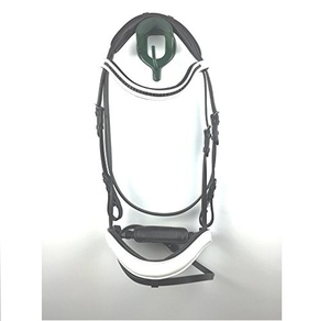 Brida de caballo amarillo, cerrojo de doma, número, con cuello halter - Product Image 5