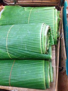 บรรจุภัณฑ์จากใบตอง/ผลิตภัณฑ์จากใบตองที่เป็นมิตรกับสิ่งแวดล้อม - ใบตองสดคุณภาพเยี่ยม - Product Image 5