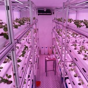 Contenedor Inteligente para Cultivo de Fresas, Sistema de Agricultura Vertical de 40 pies de Altura con Luz LED de Cultivo y Control IOT - Product Image 2