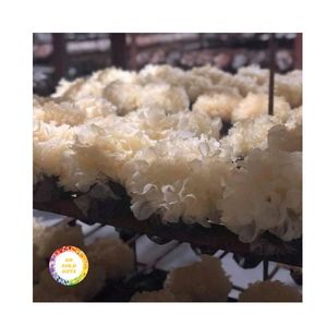 Champignons de neige asiatiques nutritifs, champignons de neige instantanés pour la cuisine, soupe, champignons Tremella de qualité supérieure, vente chaude 2026 - Product Image 1