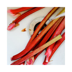 Livraison rapide de tranches de rhubarbe congelées emballées dans des sacs d'aliments surgelés - Product Image 6