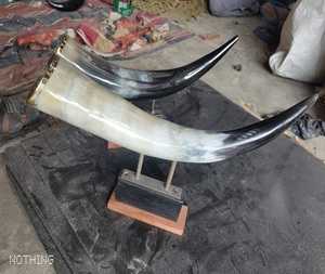 Viking <b>Mug</b> Drinking for Molding Brass Rim With Horn <b>Stand</b> for Sale Best Quality Buffalo Ox Drinking Horn Natural agate - Product Image 5