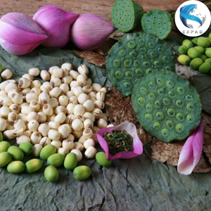 เมล็ดบัวอบแห้งที่บริสุทธ์-สุดยอดอาหารที่สมบูรณ์แบบ - Product Image 2