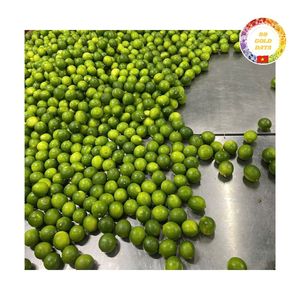 นอกเหนือจากการบีบอัด: การปฏิวัติมะนาวไร้เมล็ดของเวียดนามสดราคาไม่แพงเลือกขายส่งที่2025ของคุณ! - Product Image 4