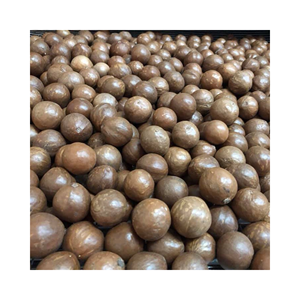 Nueces de Macadamia tostadas secas de primera calidad 100% naturales con alta calidad de Vietnam - Product Image 2