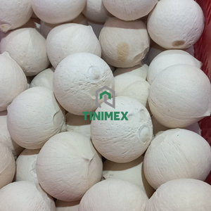 Fresh Pulido Coco Para Bebida Marca OEM - Product Image 6