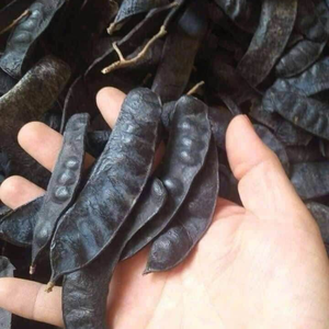 PODS DE GLEDITSIA SÉCHÉES NATURELLES PREMIUM PARFAITES POUR LES EXTRAITS DE THÉ AUX HERBES ET LES PRODUITS ÉCO POUR LES CHEVEUX - Product Image 4