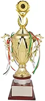 Star Style New Look Cup Award Trophy Trophy Coupes/vente en gros Médaille d'honneur personnalisée Metal Sport Award
