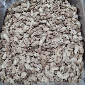 ก้านเห็ดหอมแบบยั่งยืน/เพิ่มภูมิคุ้มกัน/ฉลากสะอาด/จากพืช - Product Image 6