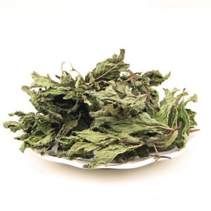 Fabricant de feuilles de pudina séchées en vrac de qualité supérieure - Meilleur prix pour les feuilles de menthe déshydratées biologiques pour les distributeurs d'Afrique et d'Asie - Product Image 6