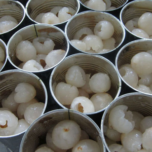 Lichi enlatado dulce entero en jarabe ligero | Directo de fábrica a mayoristas y minoristas | Sra. Shyn Tran - Product Image 4