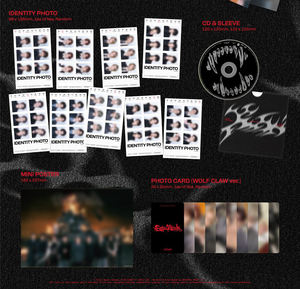 &TEAM - [ GO IN BLIND ] อัลบั้มซิงเกิลชุดที่ 3 (รุ่นลิมิเต็ด) อัลบั้มเคป๊อปขายดีที่สุดในเกาหลี - Product Image 5