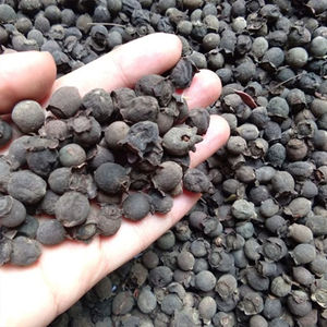 BAYAS MYRTLE SECAS/TÓNICO NATURAL/RICO ANTIOXIDANTE/INGREDIENTES LIMPIOS - Product Image 4