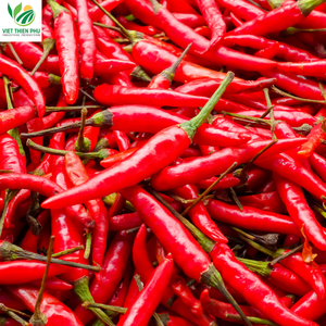 Nuevo cultivo IQF Chile rojo congelado 100% fruta vegetal orgánica natural de jardines de Vietnam recién procesada y entera - Product Image 2