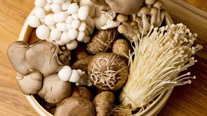 SETA FRESCA CREAR SETA SEDA O SETA CONSERVA - Product Image 2