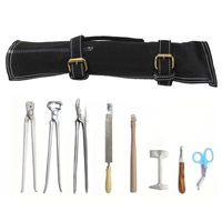 Kit d'outils de fermeur vétérinaire OEM personnalisé Dom Med Dynamics en acier inoxydable, 7 pièces, pour le soin des sabots de cheval, avec sac de transport en cuir