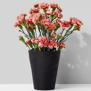 Jarrón de Metal negro, acento decorativo elegante, perfecto para la mesa de comedor de la sala de estar y la pantalla minimalista moderna del hogar de la India - Product Image 2