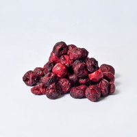 Buah Kering FD Buah Kering Berry Asam Cherry Setengah Amarelle Tart Cherryseluruh