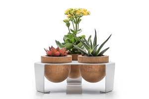 Maceta de Madera para Suculentas, Soporte de Metal Blanco, Decoración para el Hogar y la Oficina, Soporte para Plantas de Escritorio, Exhibición de Plantas, Marco de Metal Europeo - Product Image 4