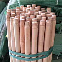 Balai portable en bois d'eucalyptus naturel, poignées durables, poils doux et écologiques, prix avantageux de Chine