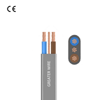 Câble de terre double fil de cuivre plat gaine d'isolation en PVC 6242Y 6243Y BVVB 1.5mm 2.5mm 4mm 6mm pour le câblage électrique de construction