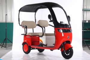 2025 CE nuevo triciclo bicicleta eléctrica 800W CAMIÓN Tuk scooter de <span class=keywords><strong>3</strong></span> ruedas tándem gordo <span class=keywords><strong>Europa</strong></span> - Product Image 2