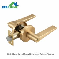 Ensemble de poignées de porte à clé en laiton satiné, serrure conique lisse pour porte extérieure
