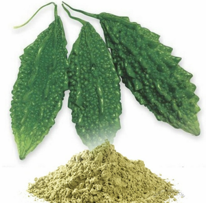ผงมะระขม | 100% ธรรมชาติและตากแดด | ราคาขายส่งที่ดีที่สุดในเวียดนาม - Product Image 5